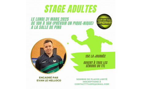 Stage adultes