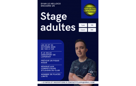 Stage adultes